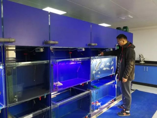 观赏鱼免费鱼病医院_北京观赏鱼病害防治中心_观赏鱼长途运输的防病要点
