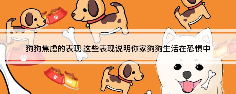 狗狗总是躲藏？心理压力和疾病的征兆_狗狗焦虑症状_狗狗呼吸声大原因