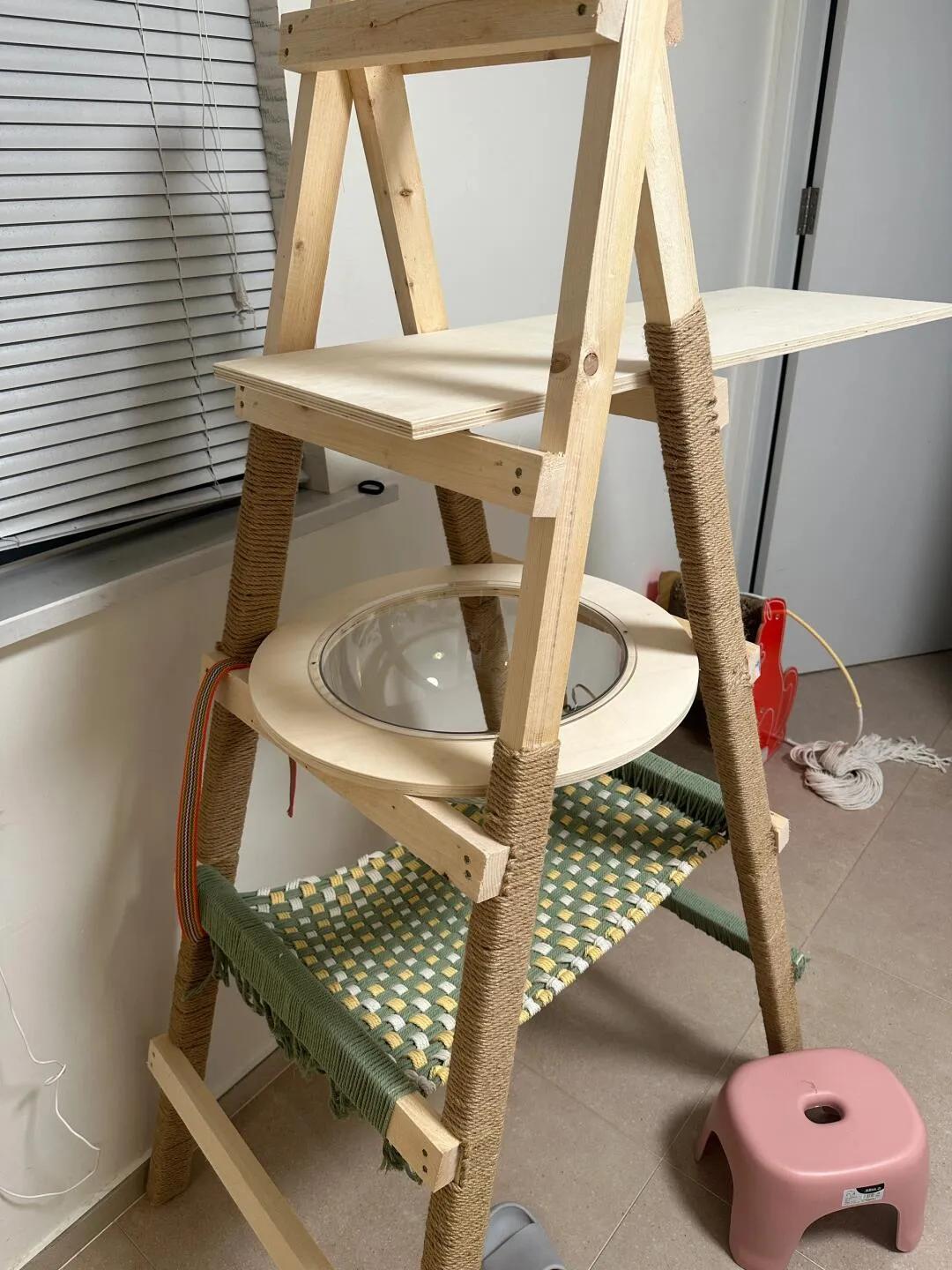 如何让猫咪爱上猫爬架_猫咪乐园搭建教程_自制猫爬架材料选择