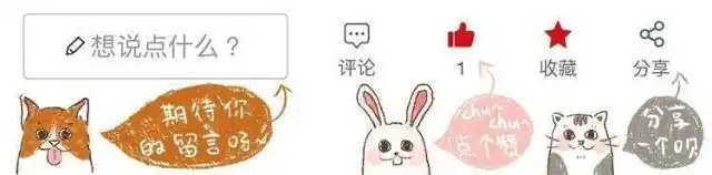 猫咪握手训练方法_怎样训练猫咪握手_猫咪训练技巧