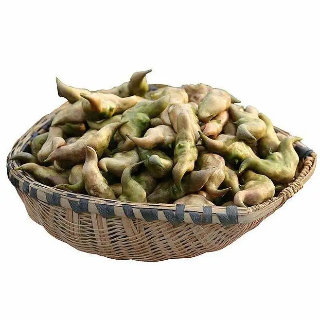 _ 孩子寄生虫食物预防 _季节性宠物寄生虫预防方案
