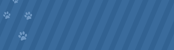 猫咪呕吐流口水，不一定是肠胃炎，有可能是十二指肠溃疡-派特超人-宠物