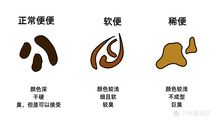猫咪软便原因及处理_猫咪骨质疏松：老年猫骨折高风险_猫藓治疗方法