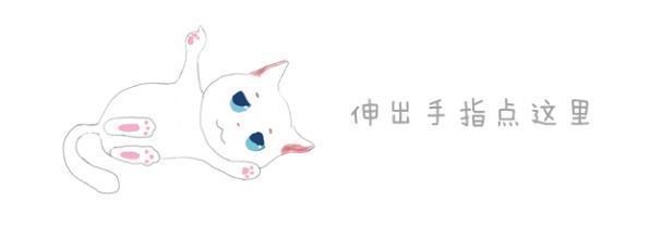  波斯猫尿血原因分析 _猫咪自发性膀胱炎治疗 _猫咪特发性膀胱炎：反复发作对策