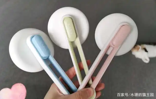 训练小鸟不抗拒梳毛_猫咪梳毛好处_猫咪梳毛抗拒原因
