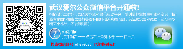 青光眼专家-派特超人-宠物