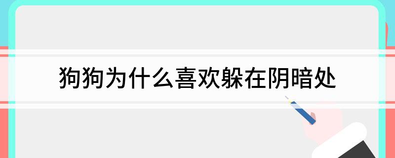 狗狗避暑躲在阴暗处_狗狗喜欢阴暗处原因_狗狗总是躲藏？心理压力和疾病的征兆