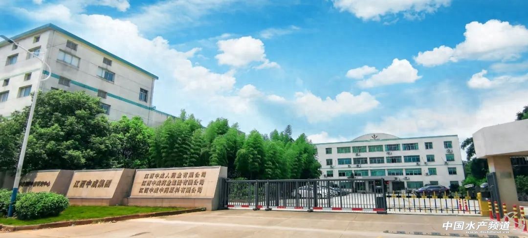 来，给鱼虾吃口“大蒜”，诱食又防病-派特超人-宠物