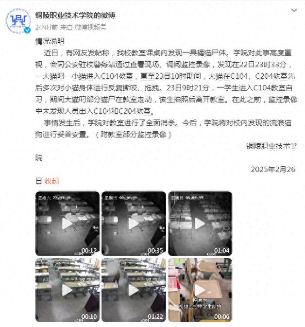 高校课桌内现惨死猫咪尸体！警方调查非人为，校方公布监控：竟是…-派特超人-宠物