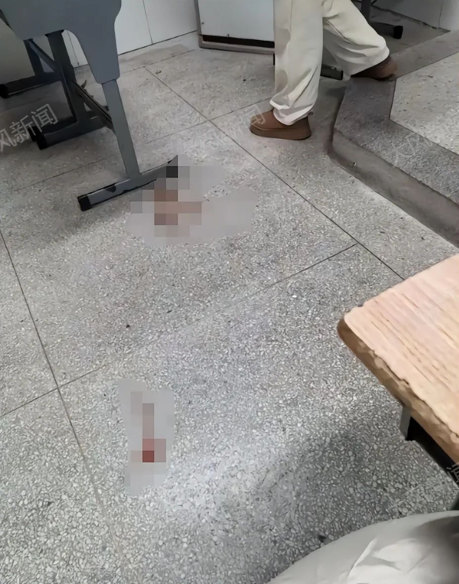 铜陵职业技术学院虐猫事件_猫咪遗体处理方式_流浪猫尸首分离事件