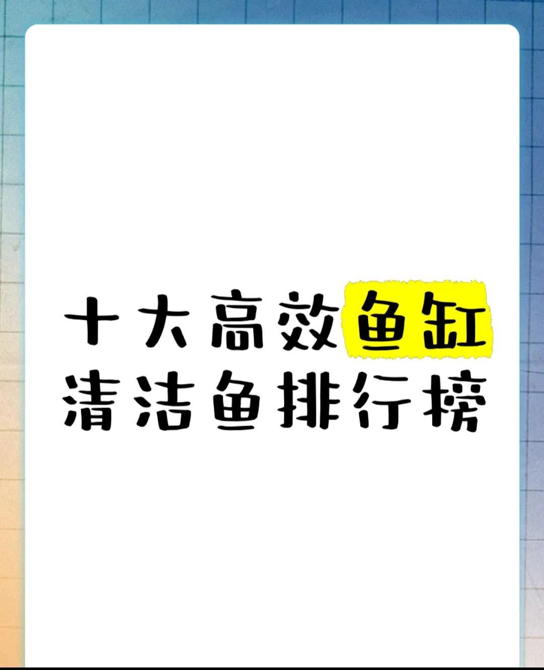 鱼缸水质保养的5个常见误区_养鱼新手水质管理_鱼缸清洁常见错误