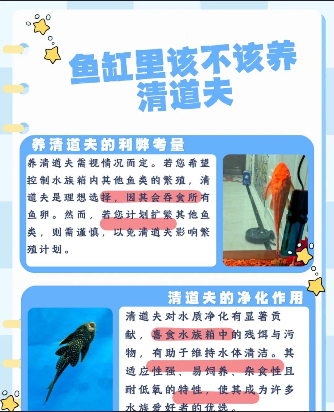 鱼缸水质保养的5个常见误区_鱼缸清洁常见错误_养鱼新手水质管理