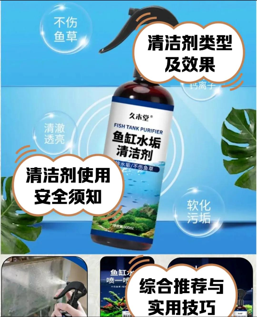 鱼缸清洁常见错误_鱼缸水质保养的5个常见误区_养鱼新手水质管理