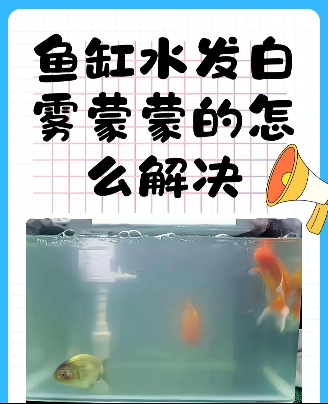 养鱼新手水质管理_鱼缸水质保养的5个常见误区_鱼缸清洁常见错误