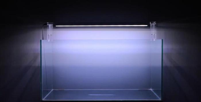 60的草缸石头景开缸教程,看完才知道鱼缸造景这么简单!-派特超人-宠物