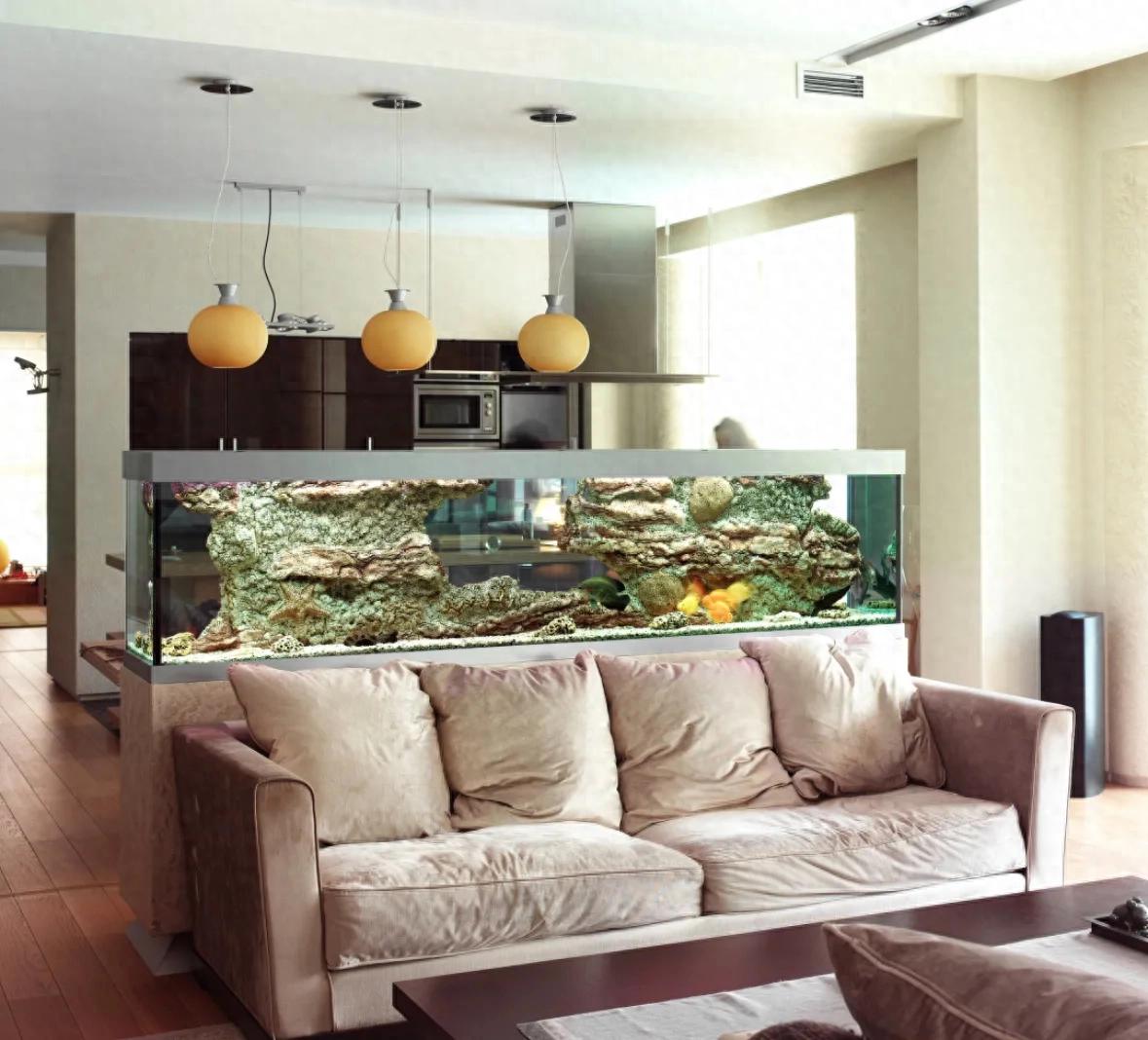 鱼缸布置的5大禁忌，第3条太多人忽略了-派特超人-宠物