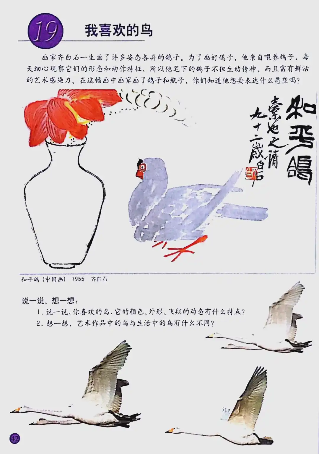 小学美术鸟的观察与讨论_如何教会小鸟识别形状_鸟的美感教学设计