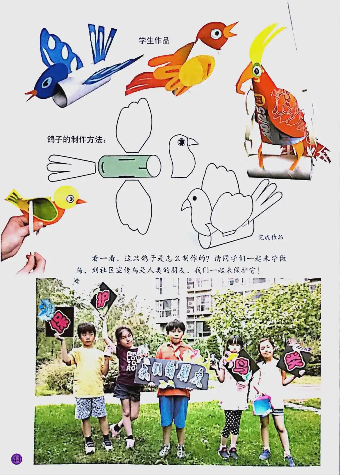 小学美术鸟的观察与讨论_鸟的美感教学设计_如何教会小鸟识别形状